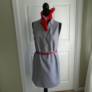 The Limited Ashton Striped Shirt dress